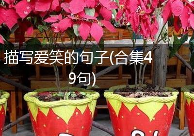 描写爱笑的句子(合集49句)