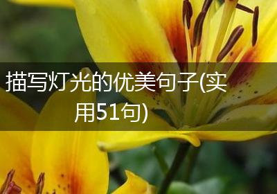 描写灯光的优美句子(实用51句)