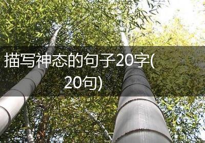 描写神态的句子20字(20句)