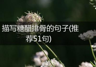 描写糖醋排骨的句子(推荐51句)