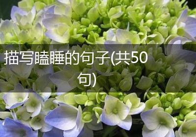 描写瞌睡的句子(共50句)