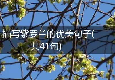 描写紫罗兰的优美句子(共41句)