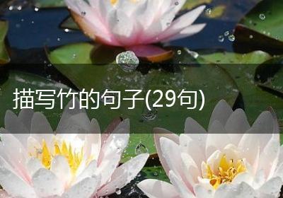描写竹的句子(29句)