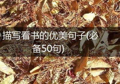 描写看书的优美句子(必备50句)