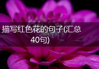 描写红色花的句子(汇总40句)