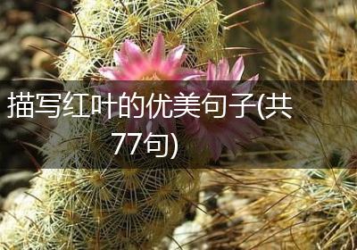 描写红叶的优美句子(共77句)