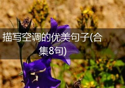描写空调的优美句子(合集8句)