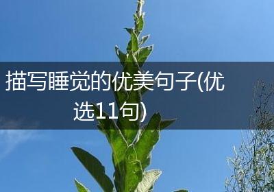 描写睡觉的优美句子(优选11句)