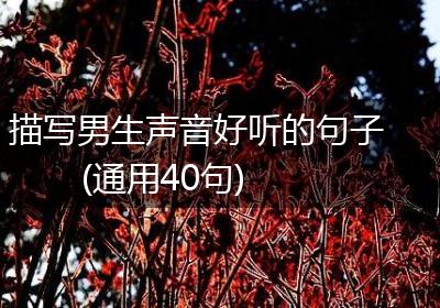 描写男生声音好听的句子(通用40句)