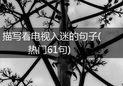 描写看电视入迷的句子(热门61句)