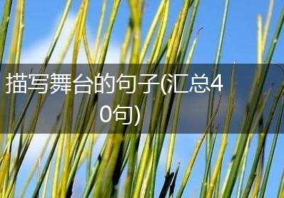 描写舞台的句子(汇总40句)