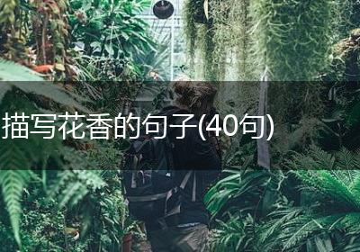 描写花香的句子(40句)