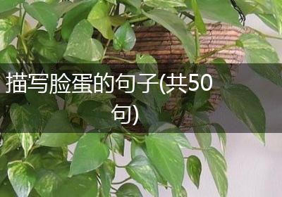 描写脸蛋的句子(共50句)