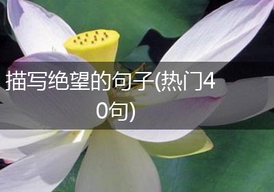 描写绝望的句子(热门40句)