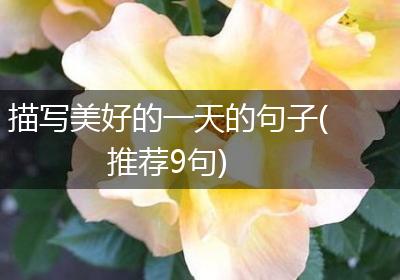 描写美好的一天的句子(推荐9句)
