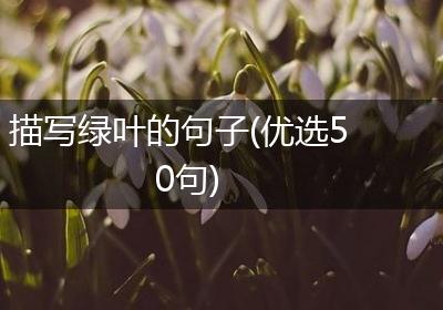 描写绿叶的句子(优选50句)