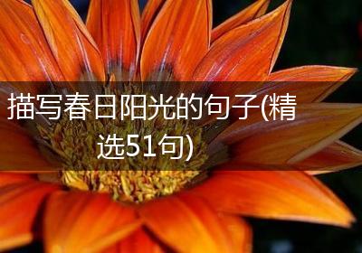 描写春日阳光的句子(精选51句)