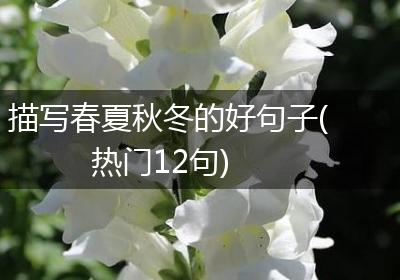 描写春夏秋冬的好句子(热门12句)