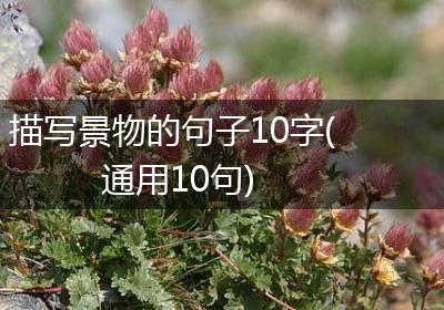 描写景物的句子10字(通用10句)