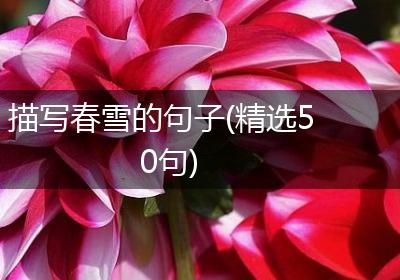 描写春雪的句子(精选50句)