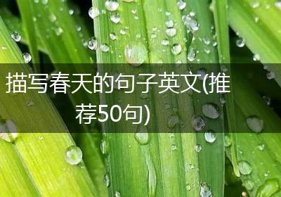 描写春天的句子英文(推荐50句)