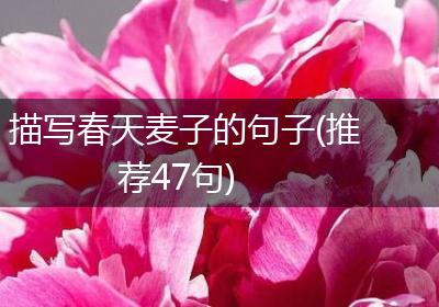 描写春天麦子的句子(推荐47句)