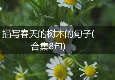 描写春天的树木的句子(合集8句)