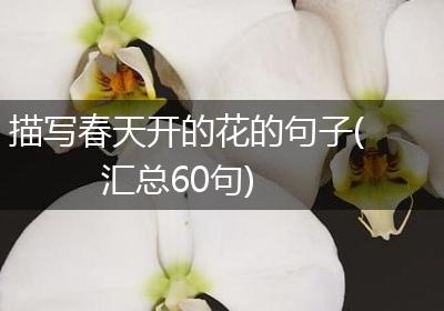 描写春天开的花的句子(汇总60句)