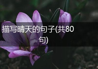 描写晴天的句子(共80句)