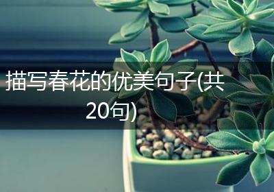 描写春花的优美句子(共20句)