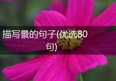 描写景的句子(优选80句)