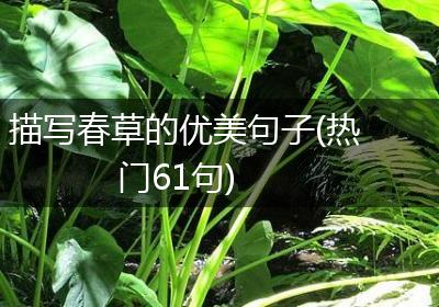 描写春草的优美句子(热门61句)
