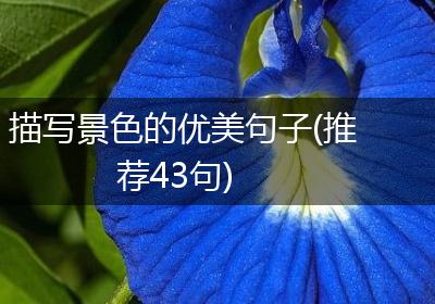 描写景色的优美句子(推荐43句)