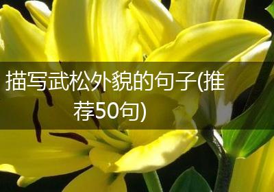 描写武松外貌的句子(推荐50句)