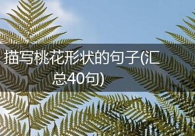 描写桃花形状的句子(汇总40句)