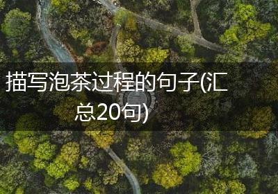 描写泡茶过程的句子(汇总20句)
