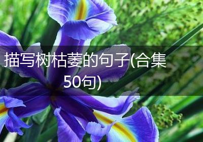描写树枯萎的句子(合集50句)