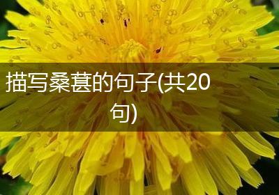 描写桑葚的句子(共20句)