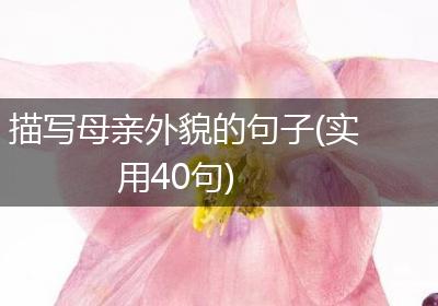 描写母亲外貌的句子(实用40句)