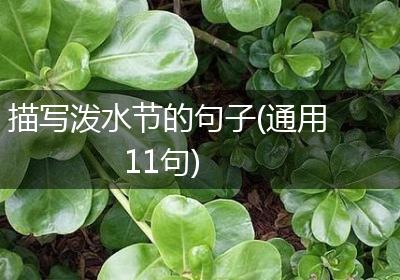 描写泼水节的句子(通用11句)