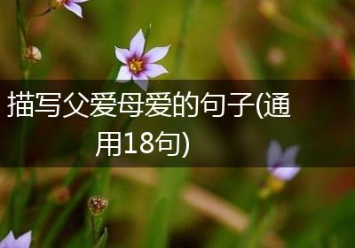 描写父爱母爱的句子(通用18句)