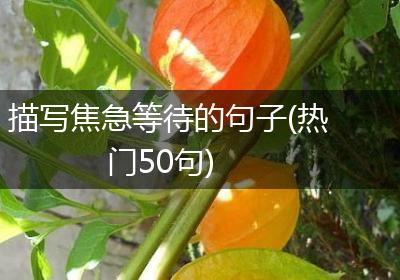 描写焦急等待的句子(热门50句)