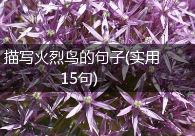 描写火烈鸟的句子(实用15句)