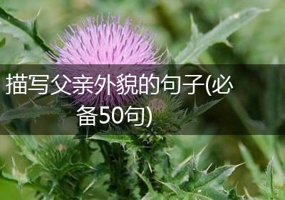 描写父亲外貌的句子(必备50句)