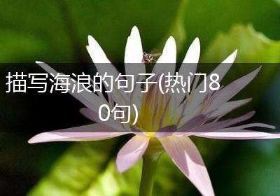 描写海浪的句子(热门80句)