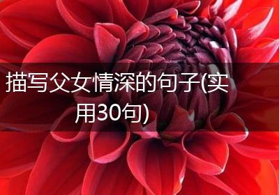 描写父女情深的句子(实用30句)