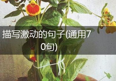 描写激动的句子(通用70句)