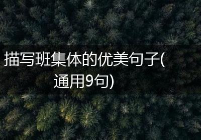 描写班集体的优美句子(通用9句)