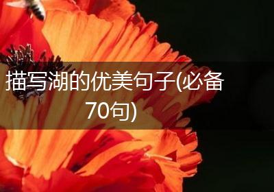 描写湖的优美句子(必备70句)