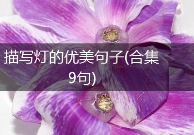描写灯的优美句子(合集9句)